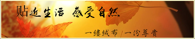深圳采購植絨布，金峰盛給你實(shí)惠產(chǎn)品